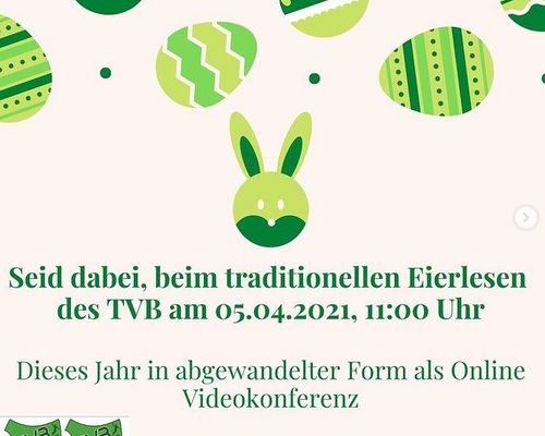 TVB Handball BegEIstert