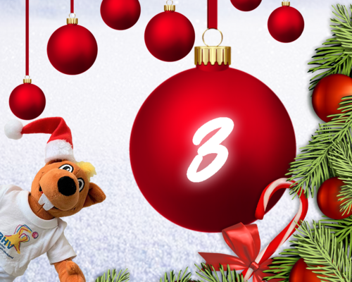 Türchen 3 - BHV Adventskalender