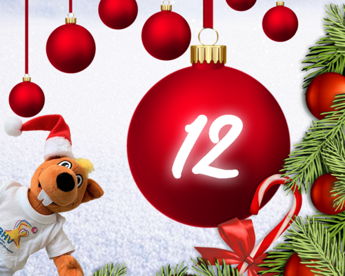 Türchen 12 - BHV Adventskalender