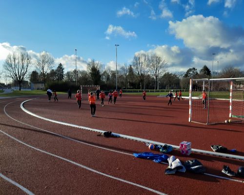 Glückliche Jungwölfe im Outdoor-Training