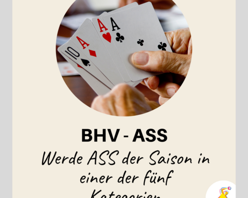 Der Badische Handball-Verband sagt DANKE - Auszeichnung des BHV-Ass