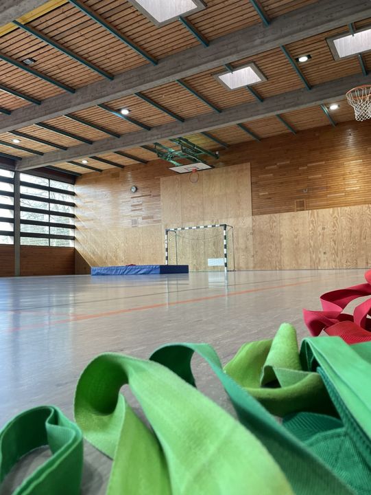 Bericht zu Handball kommt in die Grundschule