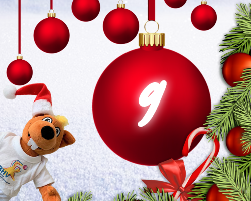 Türchen 9 - BHV Adventskalender