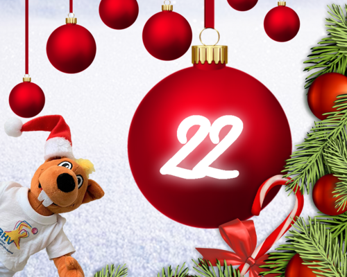 Türchen 22 - BHV Adventskalender