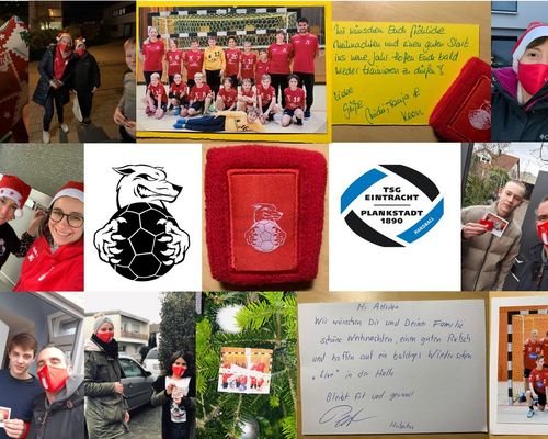   Trainer überraschen ihre Jungwölfe kurz vor Weihnachten