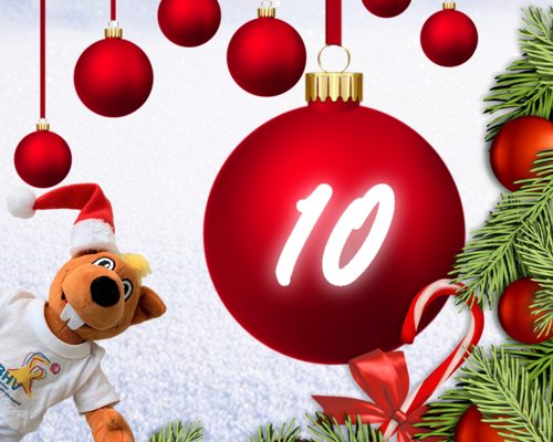 Türchen 10 - BHV Adventskalender