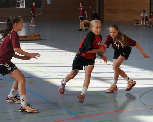26. BHV-Sichtungscamp der Handballtalente am 14./15.07. 2018 in Heddesheim