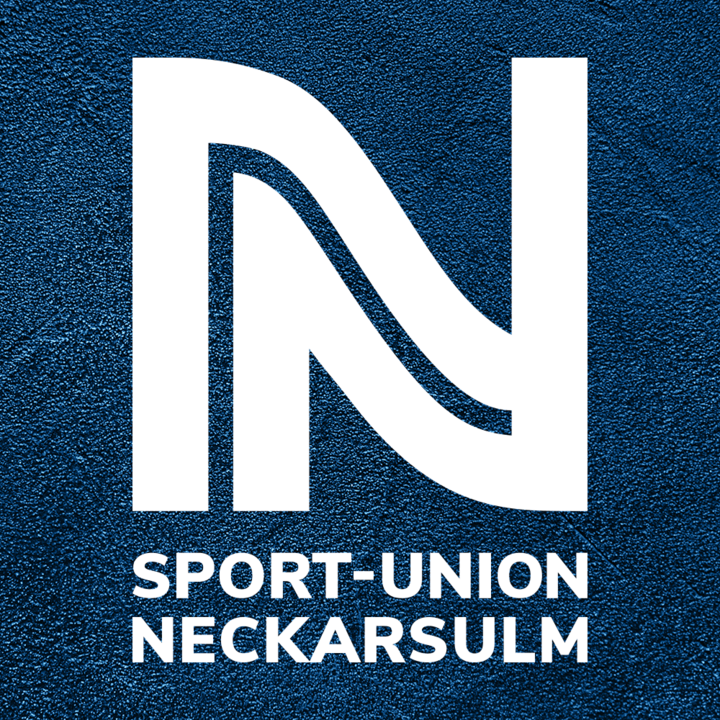 Handball Power Camp der SU Neckarsulm