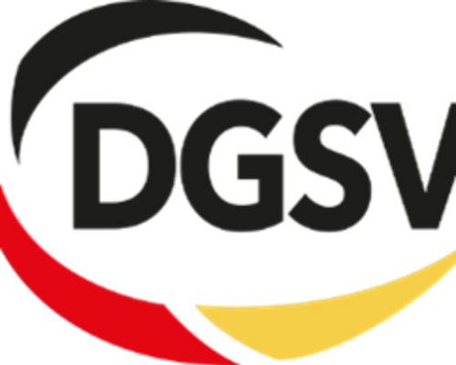 PRESSEMITTEILUNG vom 13.11.2024