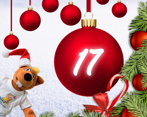 Türchen 17 - BHV Adventskalender